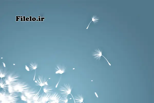 Fly Dandelion 24 طرح لایهباز فتوشاپ قاصدک Fly Dandelion 1