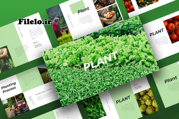 Plant Template 23 ارائههایی جذاب و حرفهای با قالب پاورپوینت گیاهان دارویی 1
