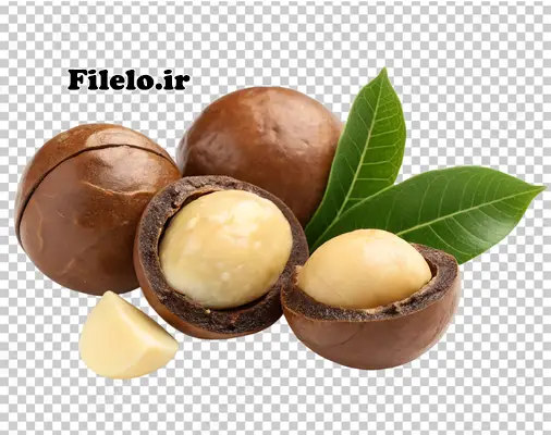 دانلود طرح لایه باز شکلات با بک گراند شفاف 1